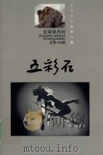 五彩石  2008  第4期     PDF电子版封面    李维平主编；吕永超副主编 