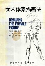 女人体素描画法   1990  PDF电子版封面  7536801912  席帕德著；吕安未，杜义盛译 
