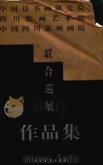 中国诗书画研究院、四川绘画艺术院、中国四川嘉州画院联合巡展作品集（1998 PDF版）