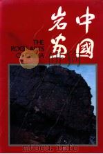 中国岩画（ PDF版）