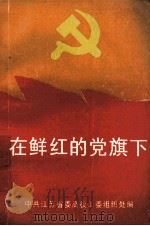 在鲜红的党旗下  江苏高校先进党支部优秀共产党员事迹选（ PDF版）