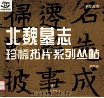 王偃墓志（1999 PDF版）