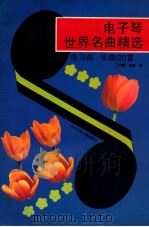 电子琴世界名曲精选  练习曲  乐曲120首   1992  PDF电子版封面  7536508611  丁泽馨，林捷编 