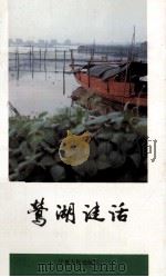 莺湖谜话   1992  PDF电子版封面  7227007812  芜晨编 