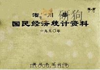 淅川县国民经济统计资料  1990年   1991  PDF电子版封面    淅川县统计局编 