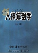 人体解剖学  上   1982  PDF电子版封面    王根本主编 