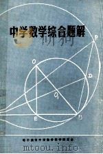 中学数学综合题解   1980  PDF电子版封面    赵凤石编译 