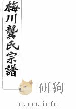 梅川龚氏宗谱  卷8  上（ PDF版）