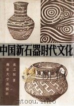 中国新石器时代文化   1988  PDF电子版封面  7305002593  张之恒著 