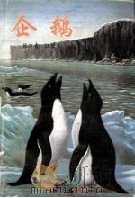企鹅   1992  PDF电子版封面  7810262483  陈万青，汪望星编 