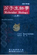 分子生物学  上   1987  PDF电子版封面    Freifelder，D.著；张信编译 