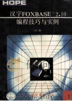 汉字FOXBASE+ 2．10编程技巧与实例1   1991  PDF电子版封面    刘彬，高峰编译 