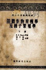 田间作物育种学及种子繁殖学  下   1957  PDF电子版封面  16010·86  B·Я尤里耶夫等著；傅子祯，王燕合译 