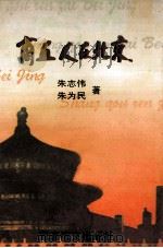 商丘人在北京   1997  PDF电子版封面  80027393  朱志伟，朱为民著 