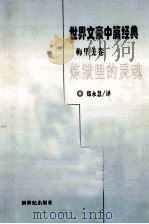 炼狱里的灵魂   1998  PDF电子版封面  7540518189  郑永慧译 