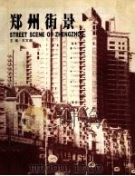 郑州街景（ PDF版）