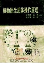 植物原生质体操作原理   1994  PDF电子版封面  7561410891  刘世贵主编 