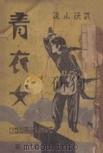 青衣女  武侠小说  6（1939 PDF版）