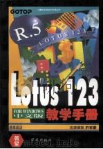 中文版Lotus 1-2-3 R5 for Windows教学手册   1994  PDF电子版封面  7507708063  许家豪编著 