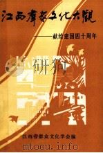 江西群众文化大观  献给建国四十周年   1990  PDF电子版封面    刘恕忱主编；江西省群众文化学会编 