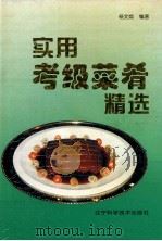 实用考级菜肴精选   1996  PDF电子版封面  7538122974  杨文焕编著 