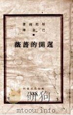文化生活丛刊  迟cm的蔷薇   1949  PDF电子版封面    （德）斯托姆著；巴金译 