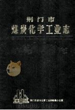 荆门市煤炭化学工业志   1988  PDF电子版封面    江本佩，杨明华主编 