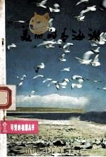 美丽的青海湖   1982  PDF电子版封面    周竞编 