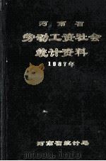 河南省劳动工资社会统计资料  1987年   1988  PDF电子版封面    河南省统计局编 