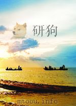 孽（长篇小说 PDF版）