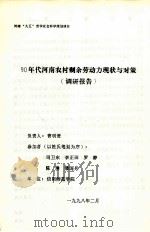 90年代河南农村剩余劳动力现状与对策调研报告   1998  PDF电子版封面    曹明贵主持 