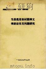 当前我省农村精神文明建设有关问题研究   1999  PDF电子版封面    刘思仓主持 