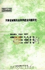 河南省城镇失业和再就业问题研究（1999 PDF版）