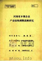 河南省乡镇企业产业结构调整战略研究（1999 PDF版）