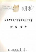 河南省工业产权保护现状与对策研究报告（1999 PDF版）