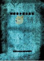 河南省乡镇企业志   1990  PDF电子版封面    河南省乡镇企业管理局编 