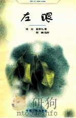 左眼   1998  PDF电子版封面  7800992543  刘杰，夏羿凡著；胡澜选析 