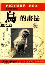 基础绘画丛书  鸟的画法（ PDF版）
