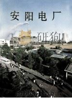 安阳电厂   1991  PDF电子版封面    安阳电厂厂志编辑委员会编 