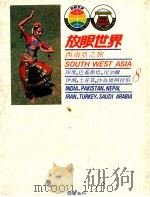 西南亚之旅  印度、巴基斯坦、尼泊尔、伊朗、土耳其、沙鸟地阿拉伯   1984  PDF电子版封面    许钟荣 