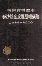 河南省鹤壁市经济社会发展战略规划  1988-2000年（ PDF版）