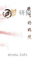 腾飞的鹤壁   1996  PDF电子版封面    鹤壁市统计局编 