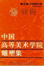中国高等美术学院雕塑集-鲁迅美术学院分卷   1988  PDF电子版封面  7535601685  田金著 