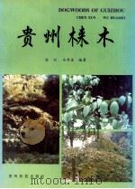 贵州梾木   1996  PDF电子版封面  7805846464  陈训，巫华美编著 