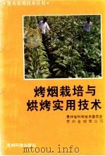 烤烟栽培与烘烤实用技术（1991.11 PDF版）