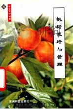 桃树栽培与管理   1999  PDF电子版封面  7805848637  班小重编 