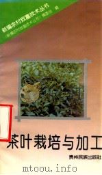 茶叶栽培与加工   1993  PDF电子版封面  7541203300  《新编农村致富技术丛书》编委会编 