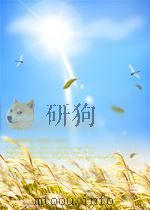 中国20世纪乡土小说论评   1997  PDF电子版封面    庄汉新 