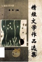 精短文学作品选集（1996 PDF版）