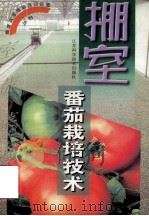 棚室番茄栽培技术   1999  PDF电子版封面  7534526280  余文贵，赵统敏编著 